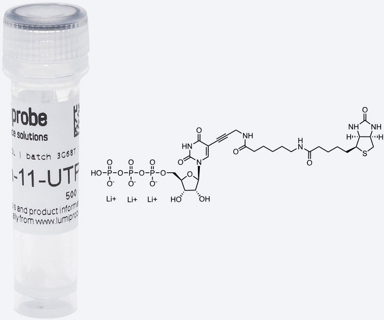  Biotin-11-UTP