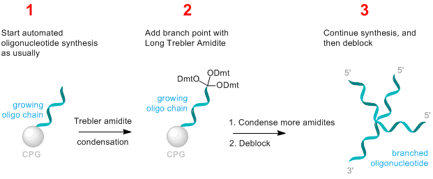 использование амидита-растроителя для синтеза разветвленной ДНК