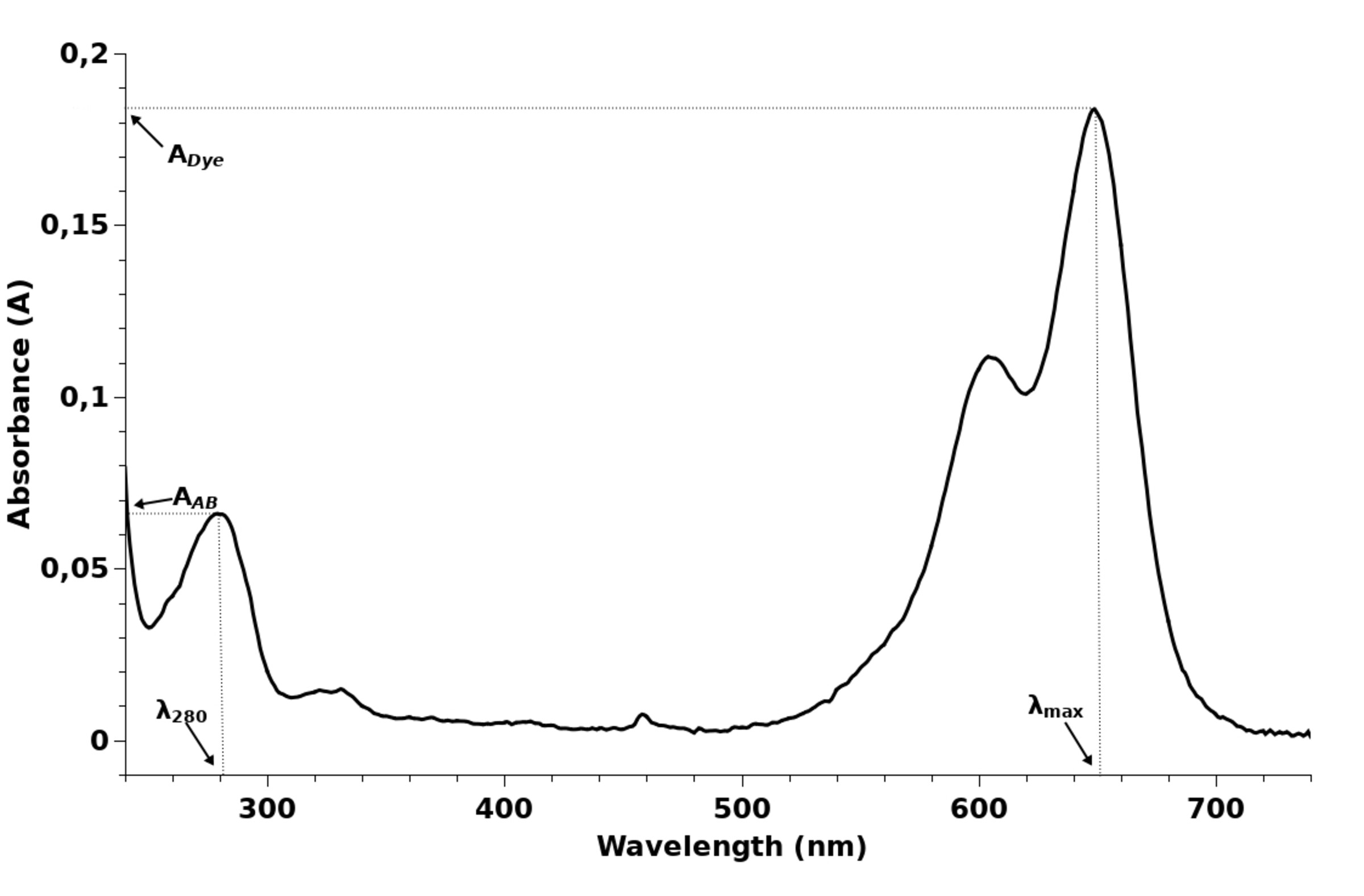 Спектр поглощения меченого антитела